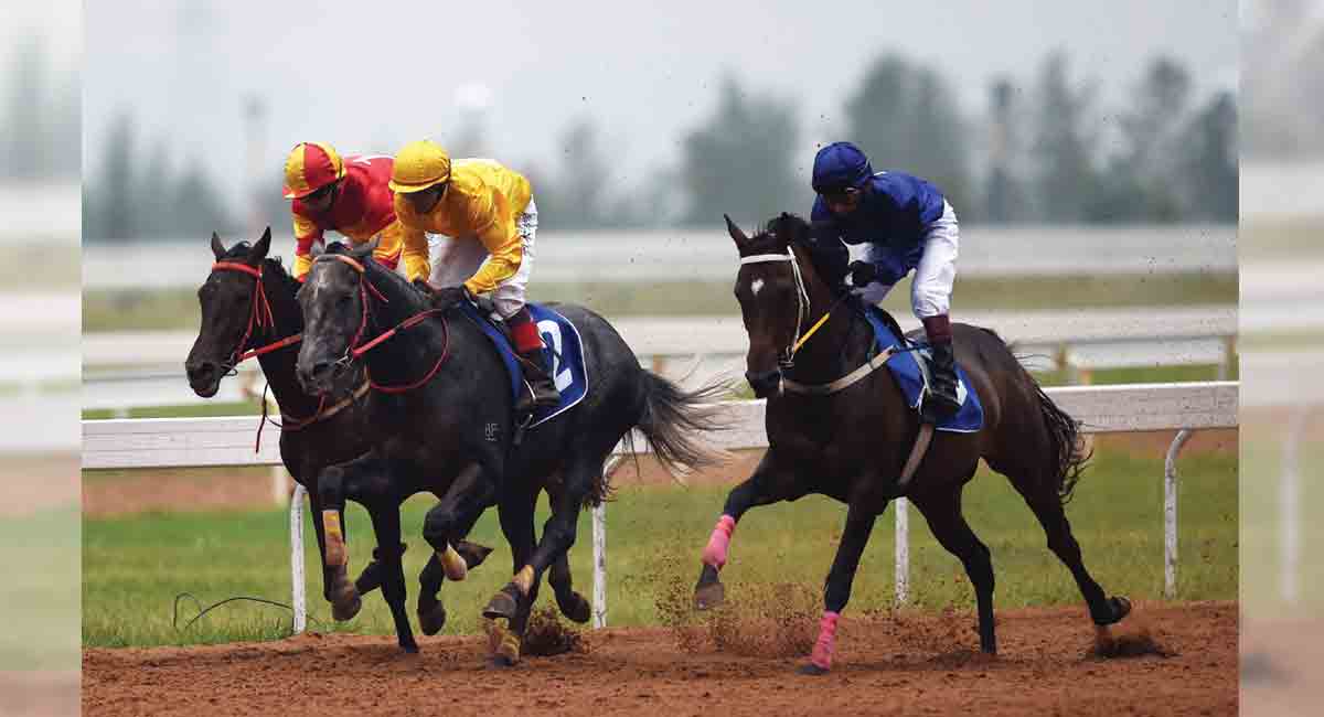 Trump Star wins B Vijay Reddy Memorial Cup