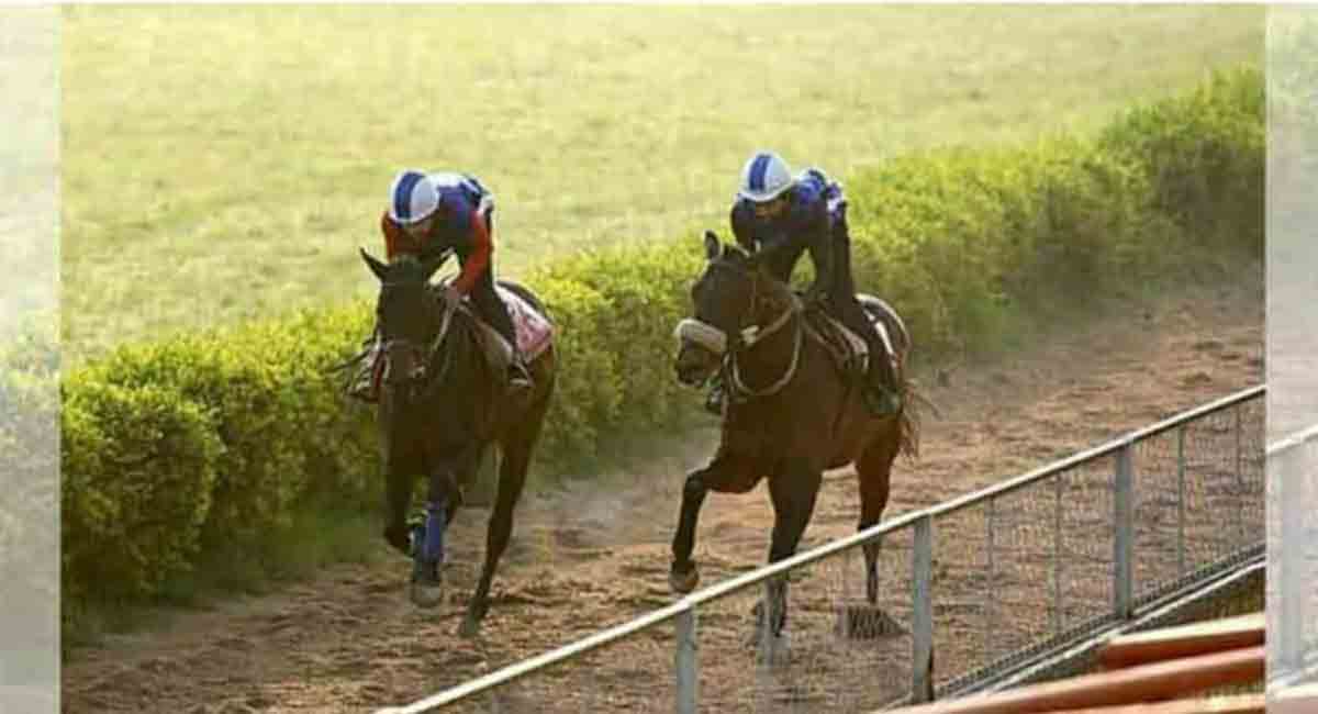 One Wish wins RM Reddy Memorial Cup