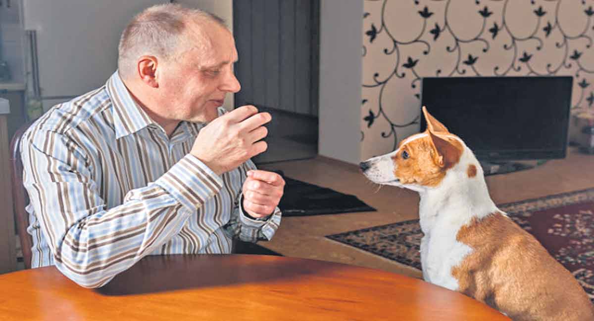 Understanding canine language abilities