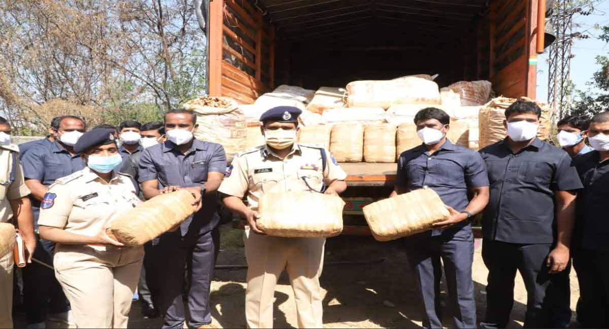 Six held with 800 kilos of marijuana in Hyderabad-Telangana Today