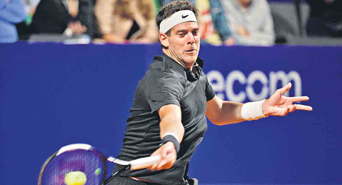 Argentina Open: Del Potro loses in first round
