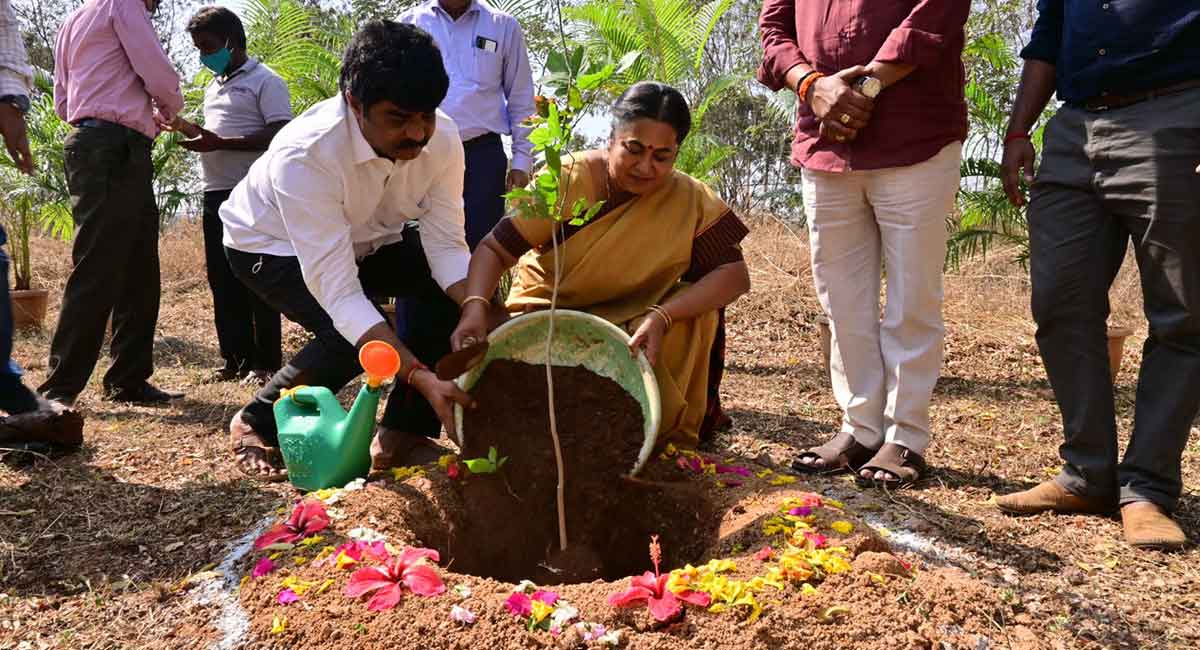 Green India Challenge: Actors Radikaa, Sai Kumar plant saplings at ...