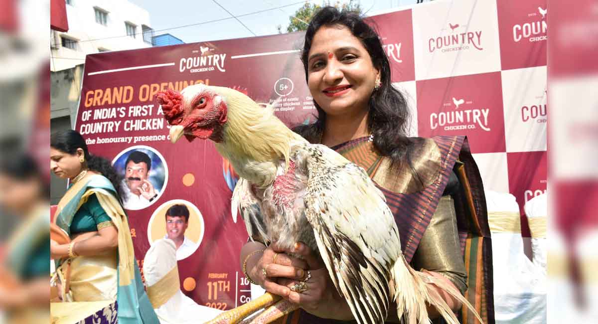 Buy ‘natu kodi’ now both online and offline in Hyderabad