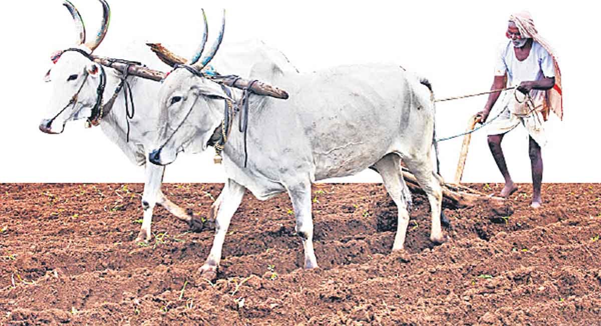 Telangana’s Gross State Value Added surges by 4.2%