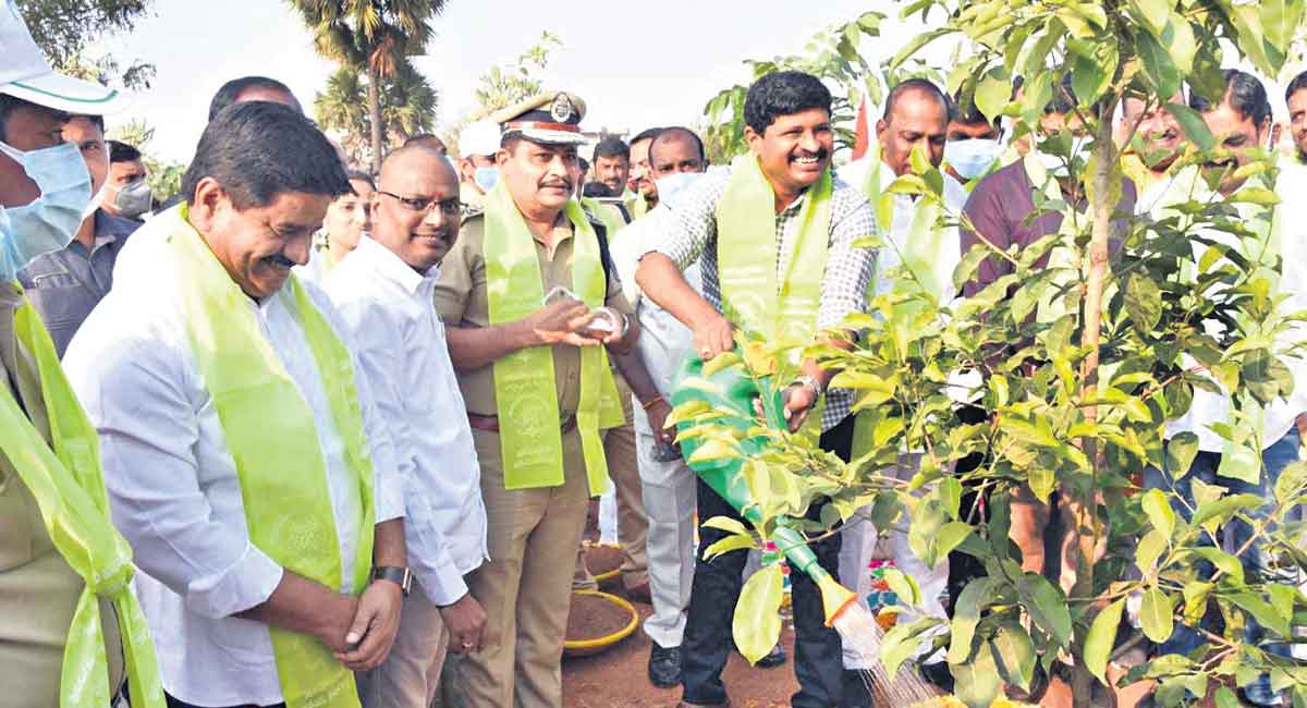 Haritha Haram helped increase green cover: Santhosh