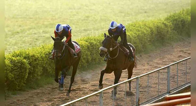 Star Glory fancied for N Nari Reddy Memorial Million feature