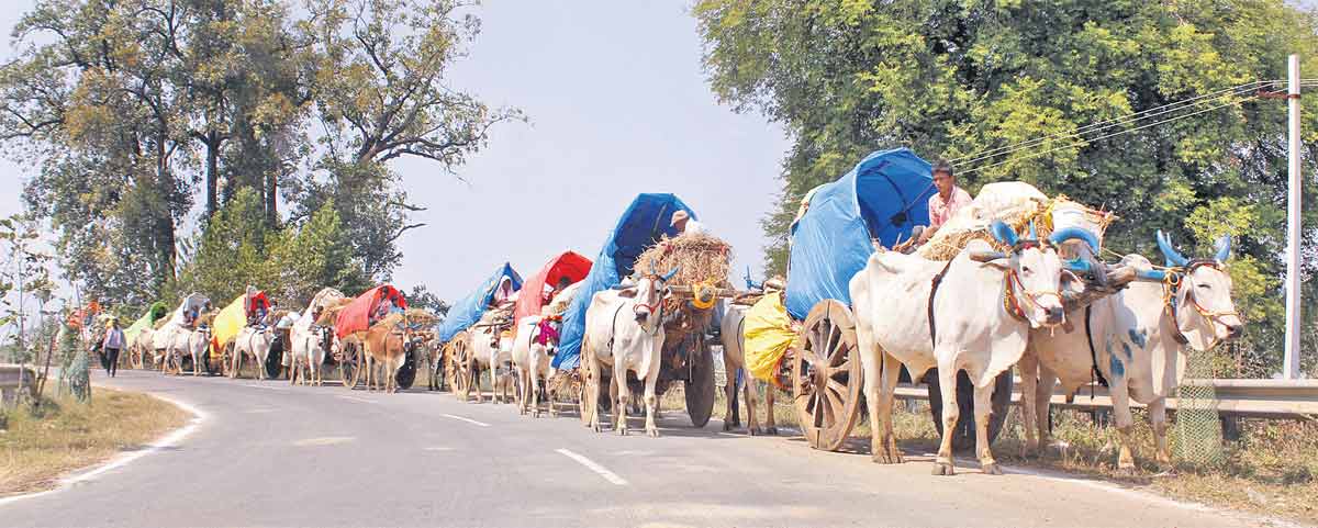 Stage set for Medaram jatara