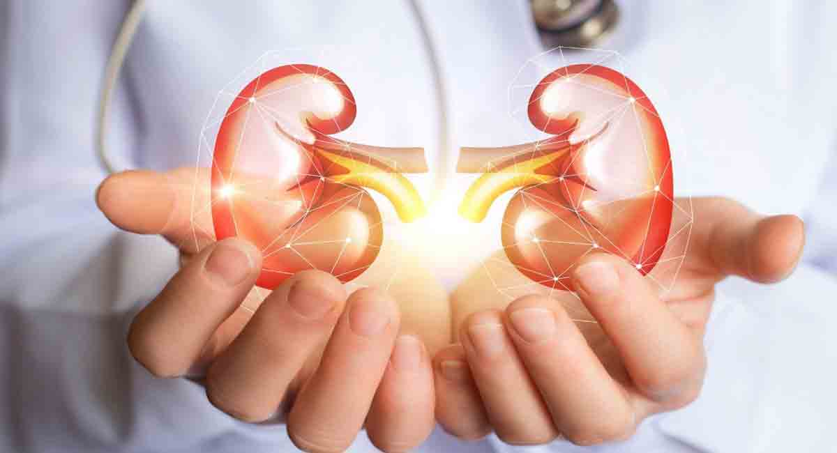 How US researchers performed pig kidney transplant in human patient