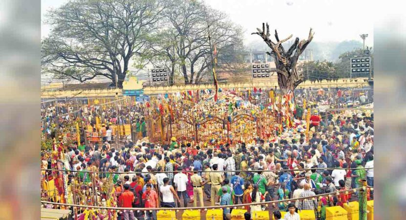 Sammakka Saralamma jatara