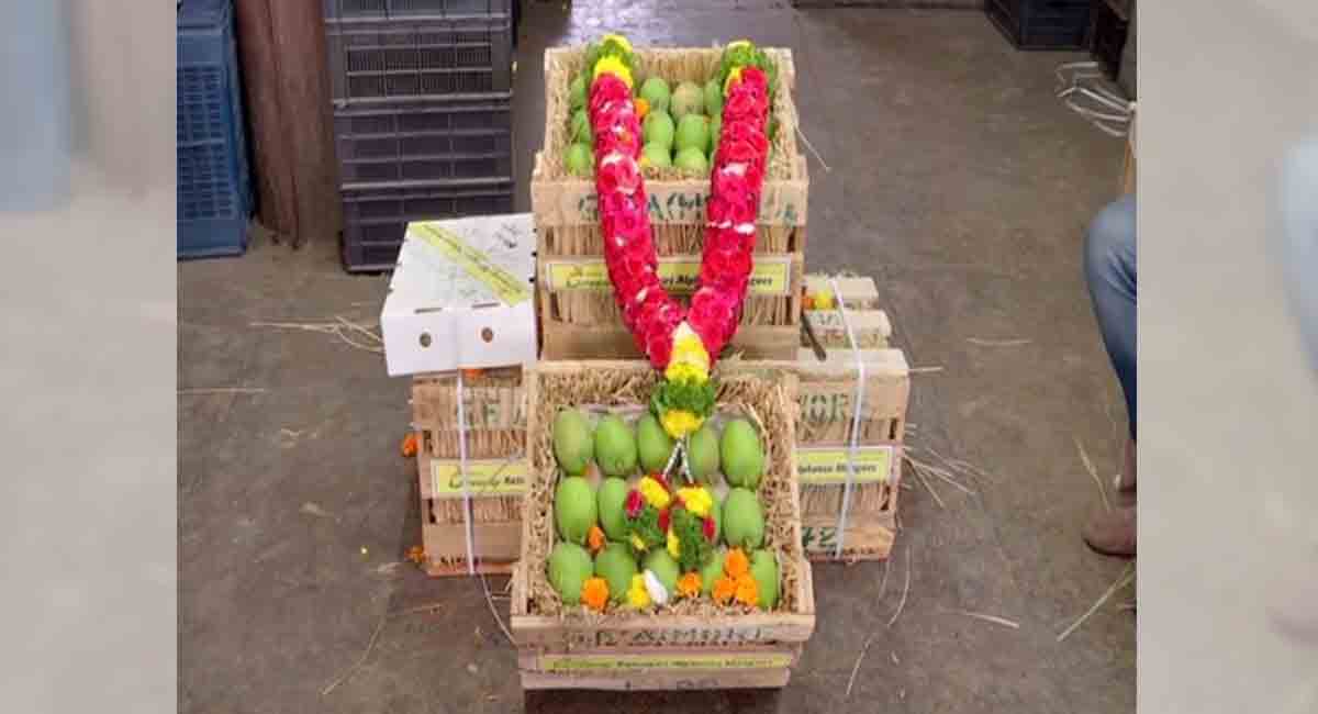 Mango crate sold for Rs 31,000 in auction, most expensive buy in 50 yrs