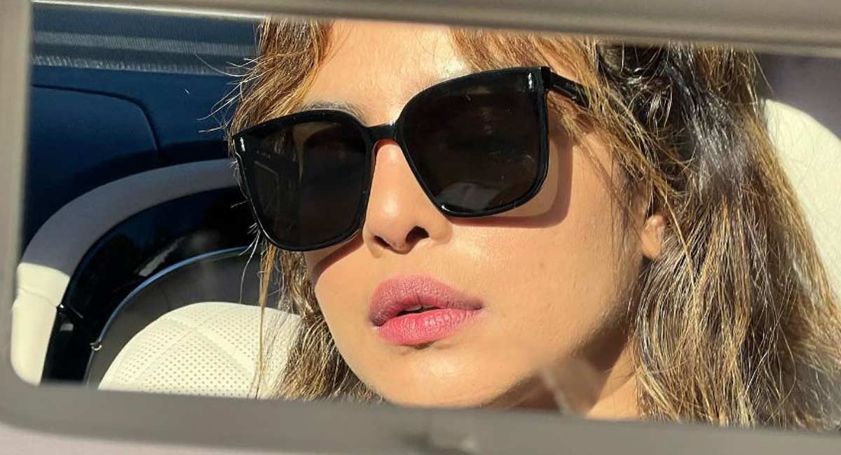 Priyanka Chopra shares first social media post after baby announcement