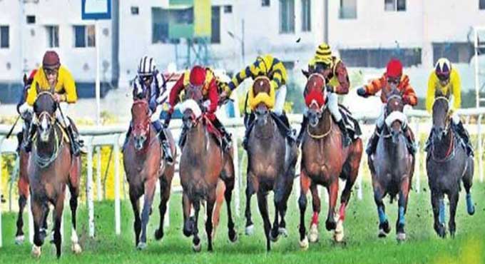 Enigma fancied for Mumbai feature