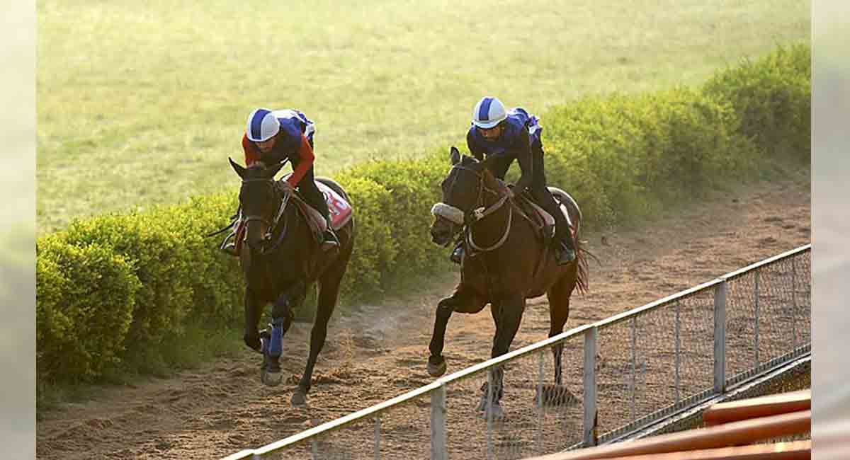 Sunrise Ruby fancied for Mumbai feature