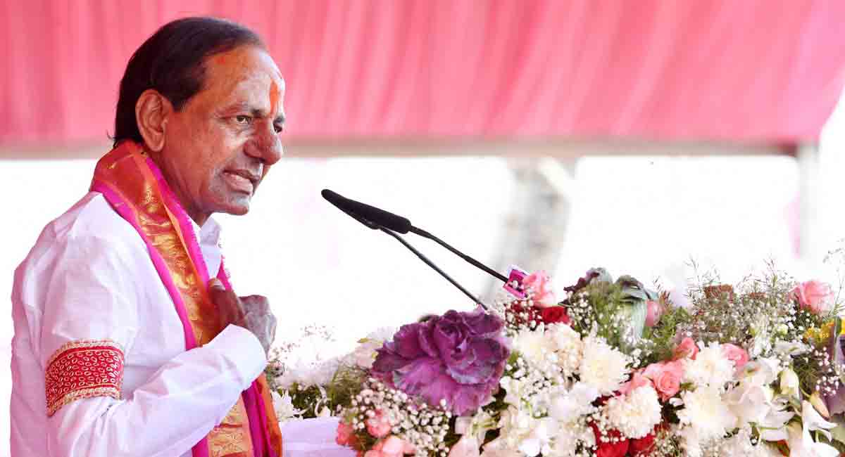 Telangana financially on a firm footing