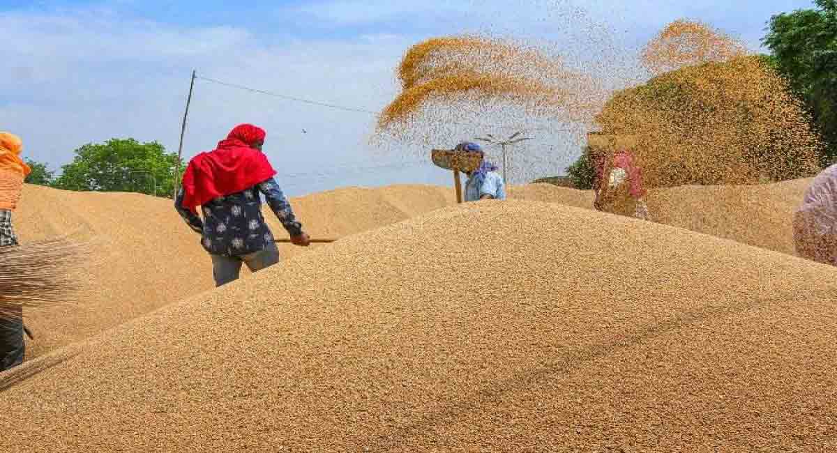 India, WFP to supply wheat to Afghanistan
