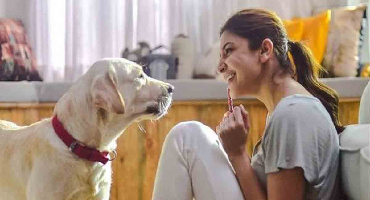 Anushka Sharma praises Delhi man for taking care of injured stray dog