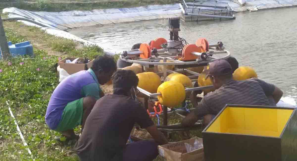 T-AIM startup Bariflo Labs uses AI, robotics to rejuvenate lakes