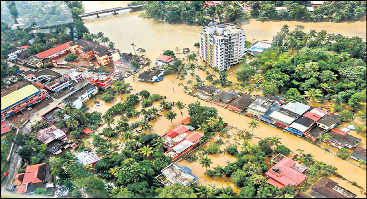 Opinion: Building better disaster resilience