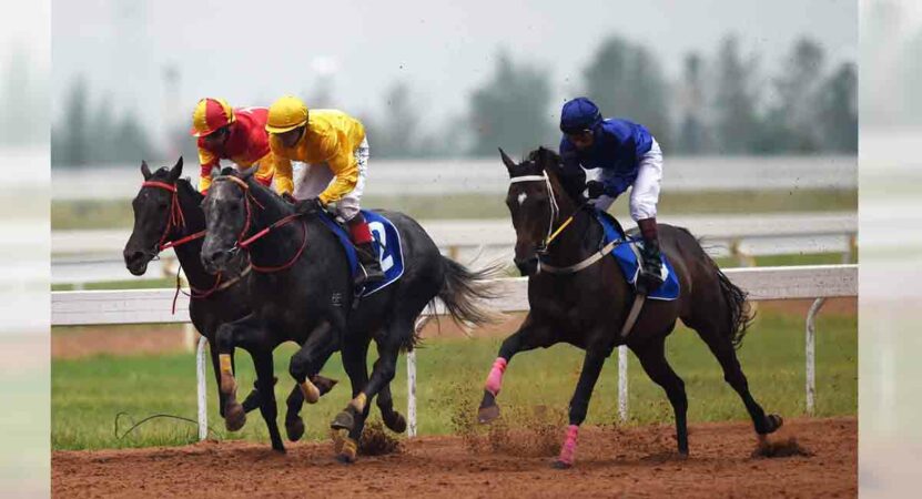 Tigrio fancied for Kolkata feature