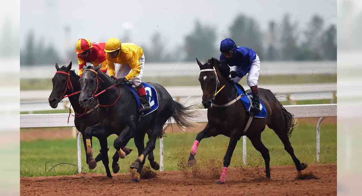 Kingston fancied for Vasudeva Reddy Memorial Cup