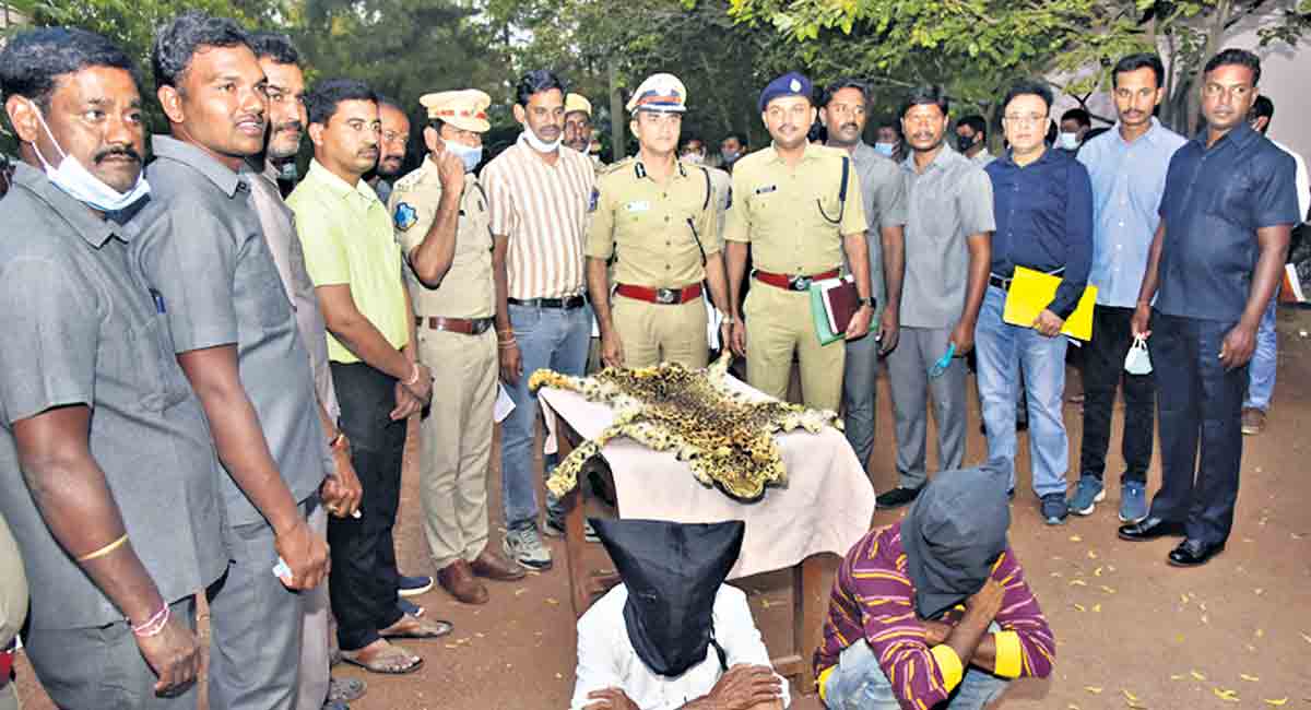 Task Force arrests two, seizes leopard hide in Warangal