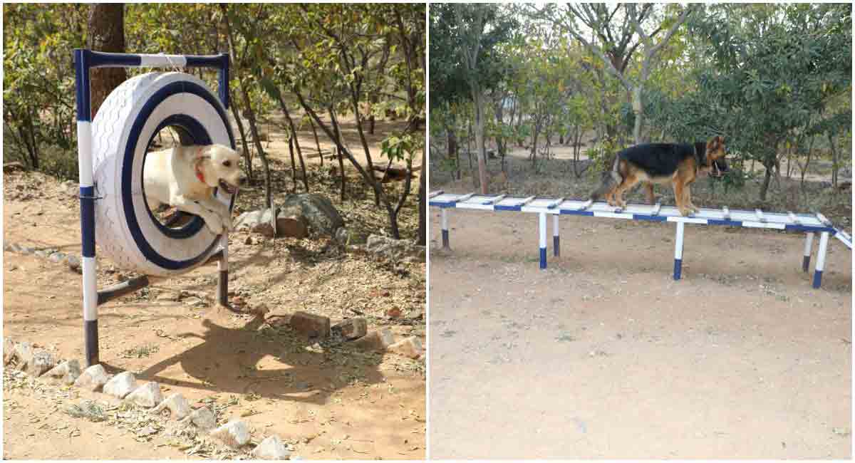 Telangana: 33 canines to aid police after passing out parade on Saturday