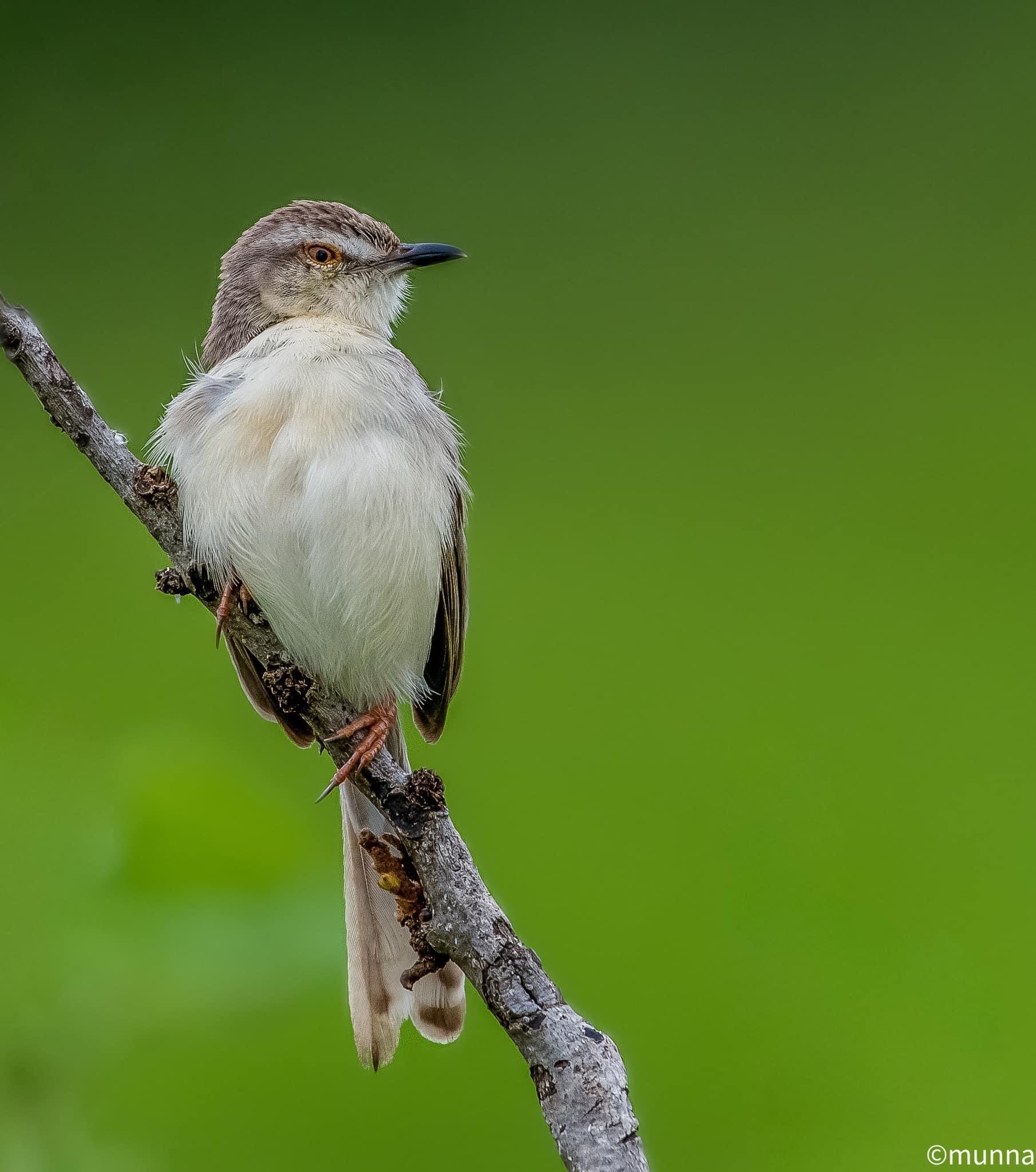 Check out increasing flora, fauna of Telangana through this wildlife photographer’s lens