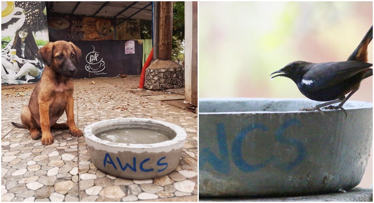Hyderabad’s AWCS comes to the rescue of birds, strays