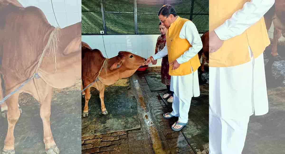 Chief ministerial candidates of all parties face defeat in Uttarakhand