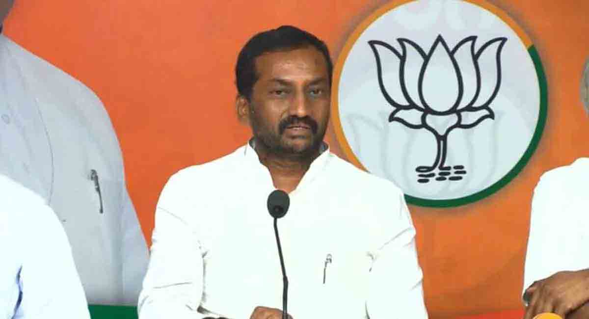 KCR doesn’t respect Constitution of India, wants to write his own: BJP MLA Raghunandan Rao