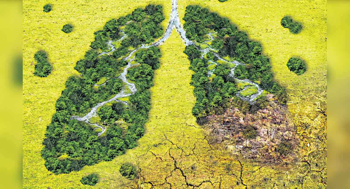 Opinion: Focus on adapting to climate change