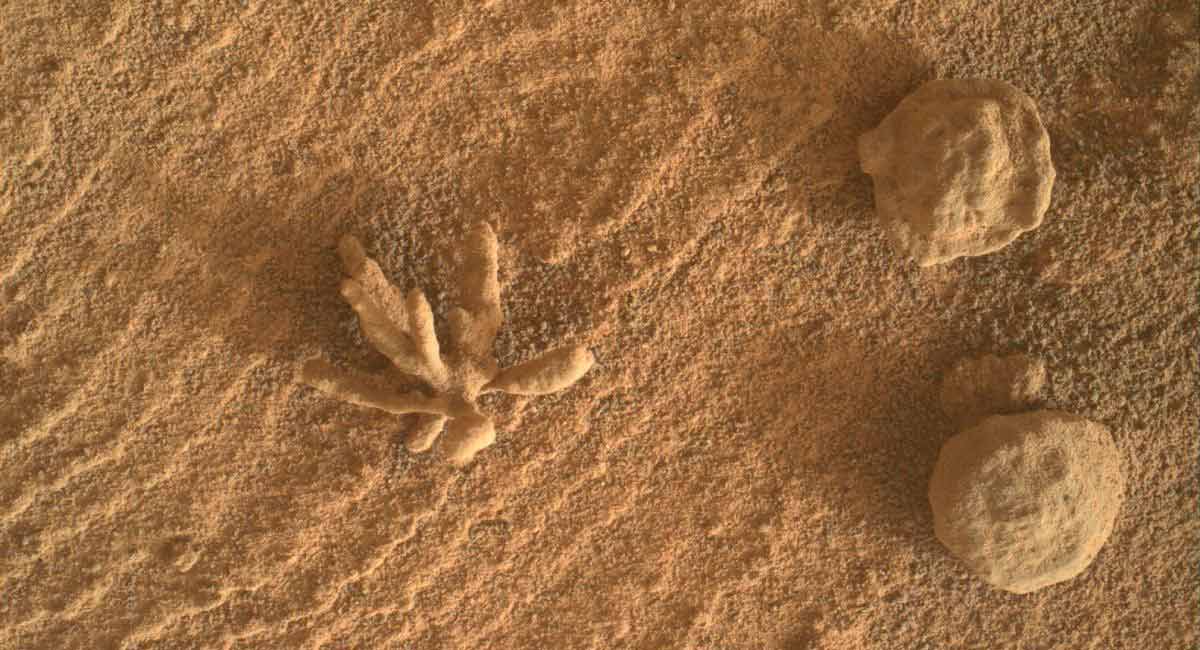Curiosity rover images tiny ‘mineral flower’ on Mars