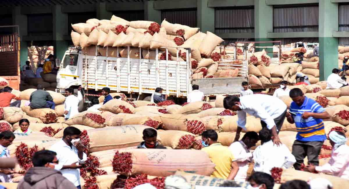 Telangana: Chilli gets all time record price at Enumamula agri-market in Warangal