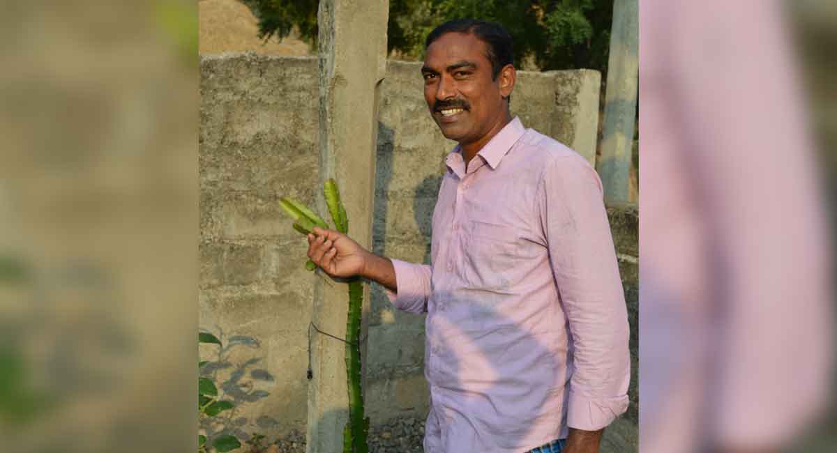 Farmer from Peddapalli grows exotic plants in organic method