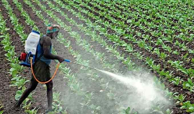 Fertiliser consumption per hectare on decline in Telangana