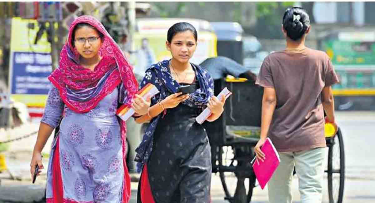 How to become a Forest Ranger