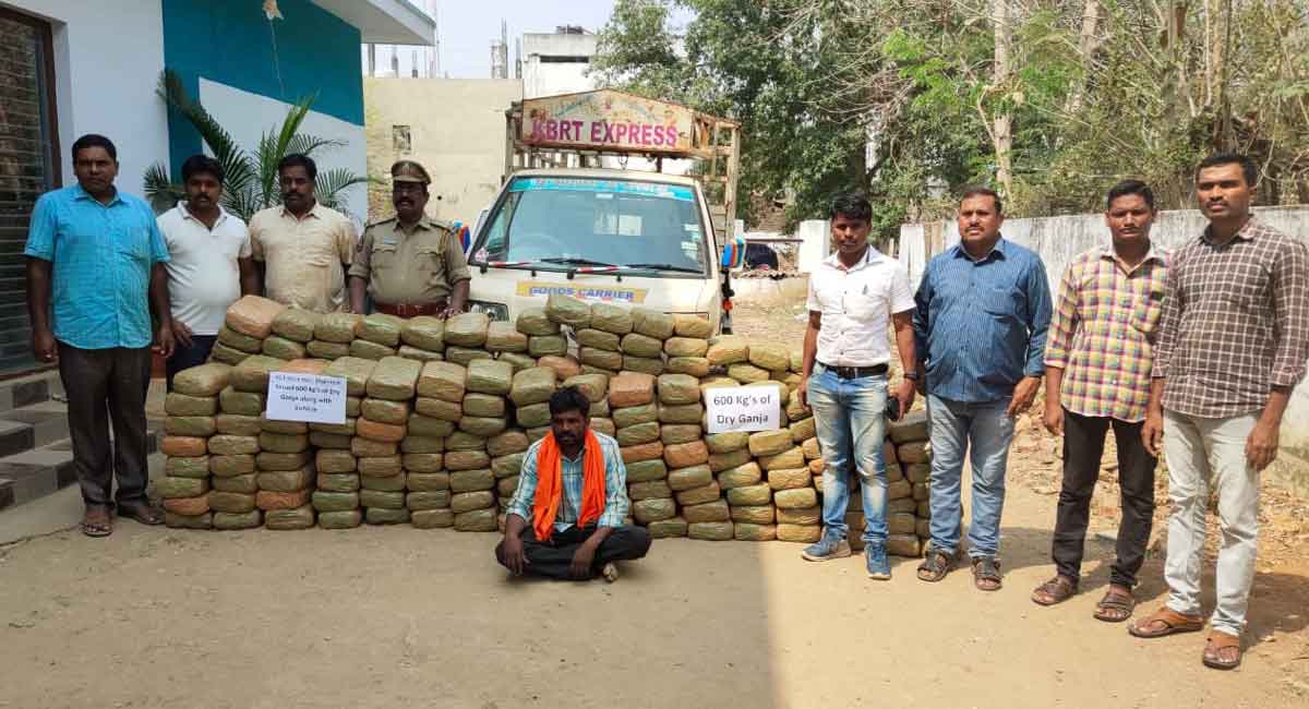 Telangana: 600 kg ganja seized, one arrested at Bhadrachalam