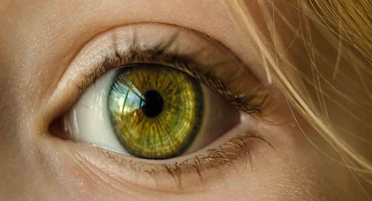 After cataract, glaucoma major public health issue leading to loss of vision