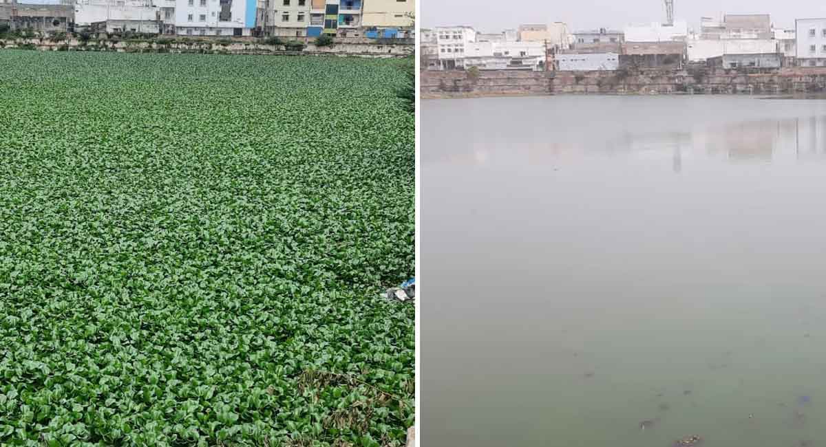 Hyderabad’s historic Katora Houz gets fresh lease of life