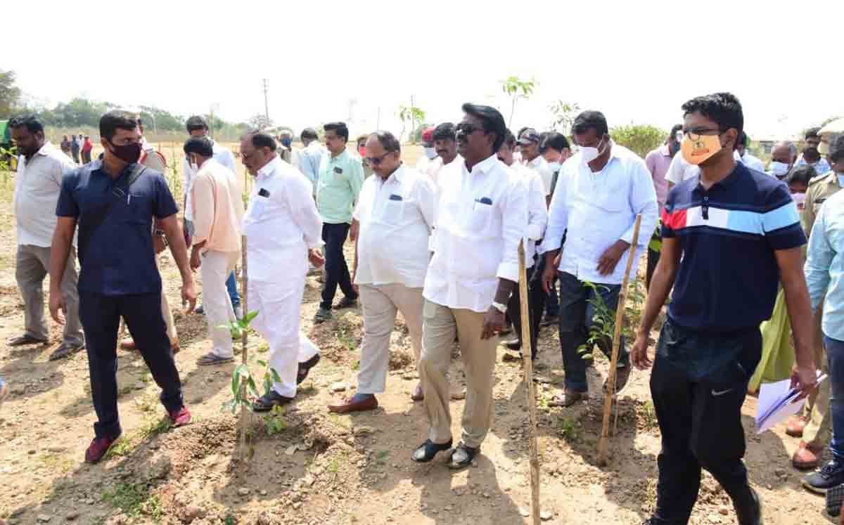 Bruhat Palle Prakruthi Vanam with 10, 000 plants coming up near Khammam