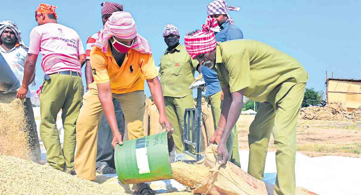 Paddy procurement: Telangana, Centre set for showdown