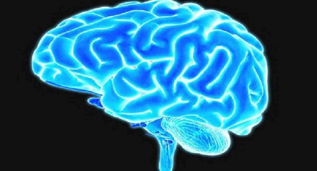 Scientists identity gene that could prevent Parkinson’s disease