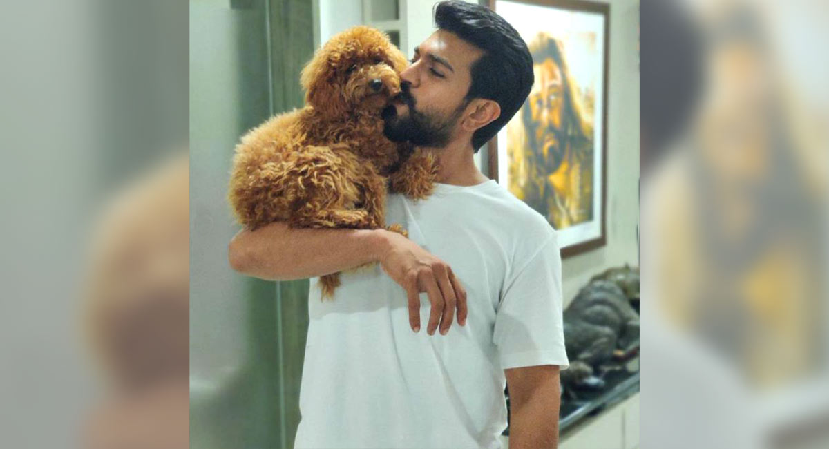 Pet parent Ram Charan returns home to Rhyme amid ‘RRR’ promotions ...