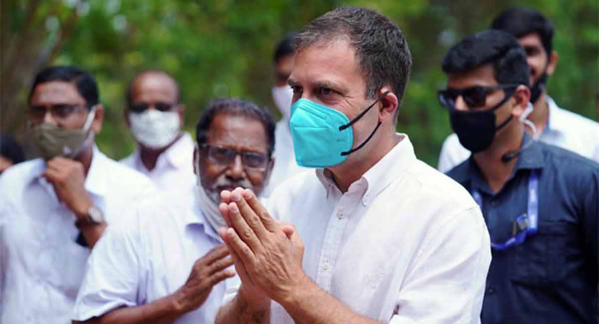 Rahul Gandhi slams BJP, TRS govt over paddy procurement