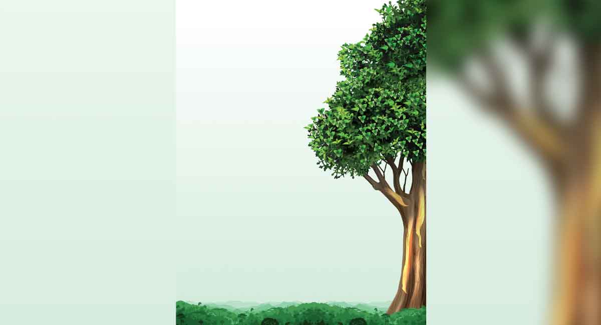 In the woods we return