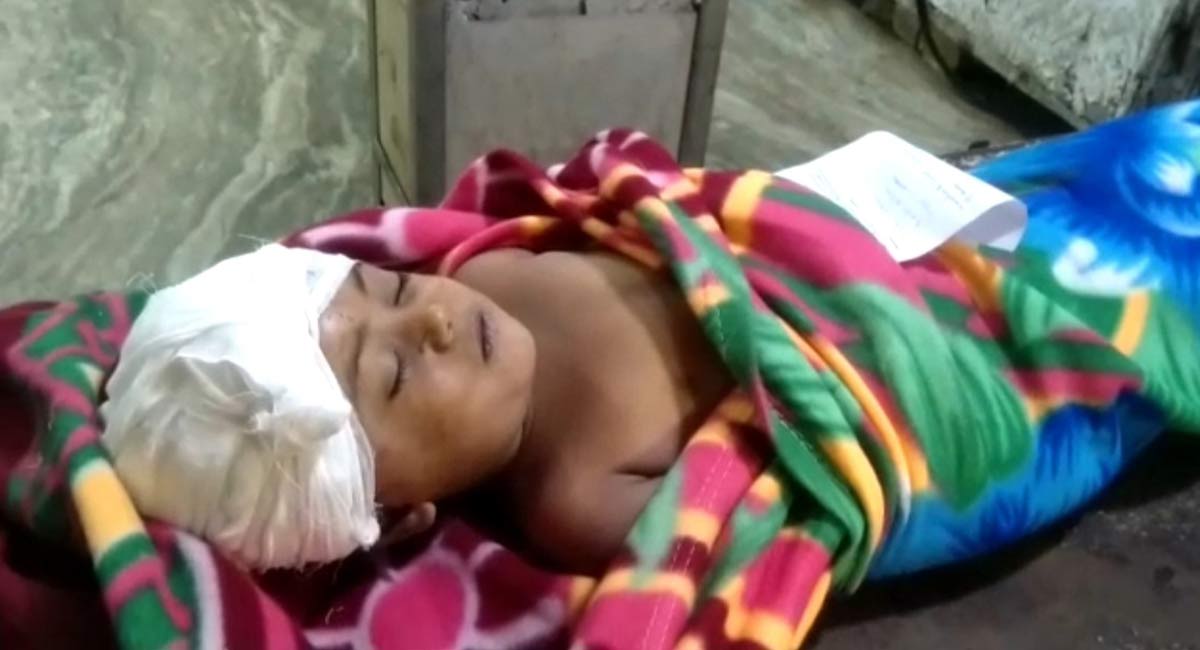 Telangana: Girl dies as airgun misfires