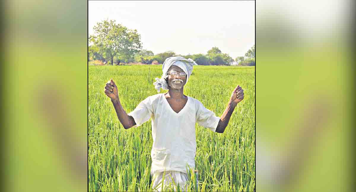 Triumph of Telangana