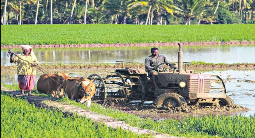 Telangana Budget: Agriculture gets Rs 24,254 crore
