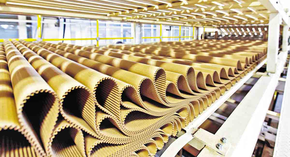 Rising import costs dent prospects of corrugated box industry