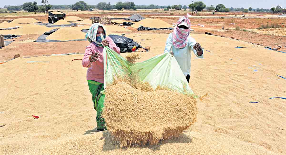 Broken rice: Centre can tap global demand